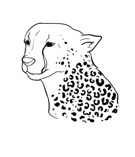 Draw A Cheetah Print