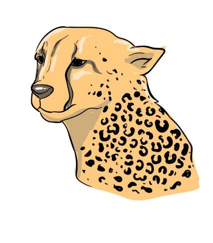 Cheetah Print Drawing